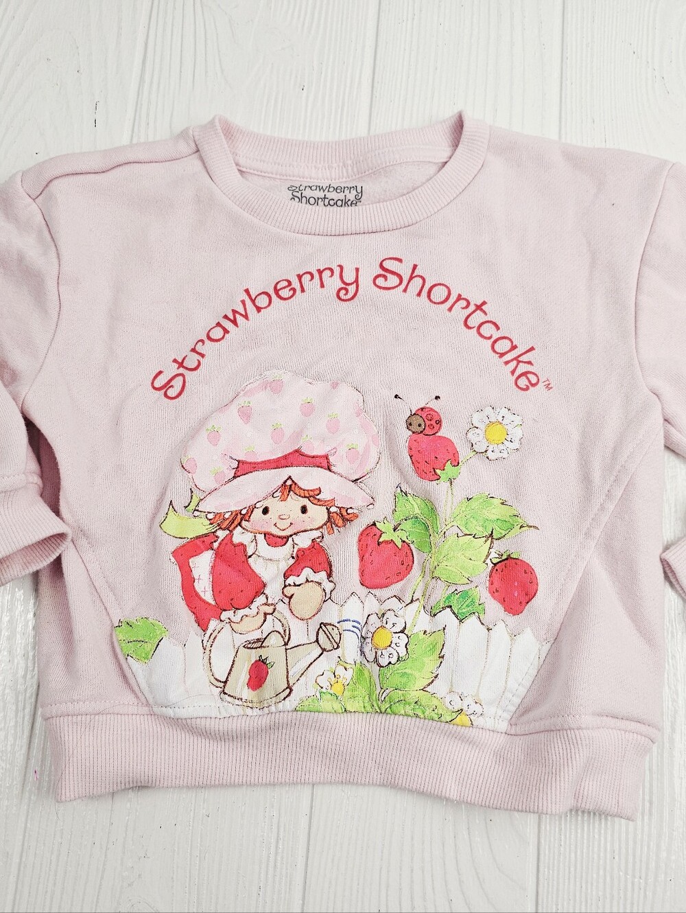 Strawberry Shortcake Crewneck Sweatshirt
